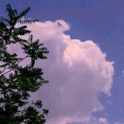 足球北单官方网站